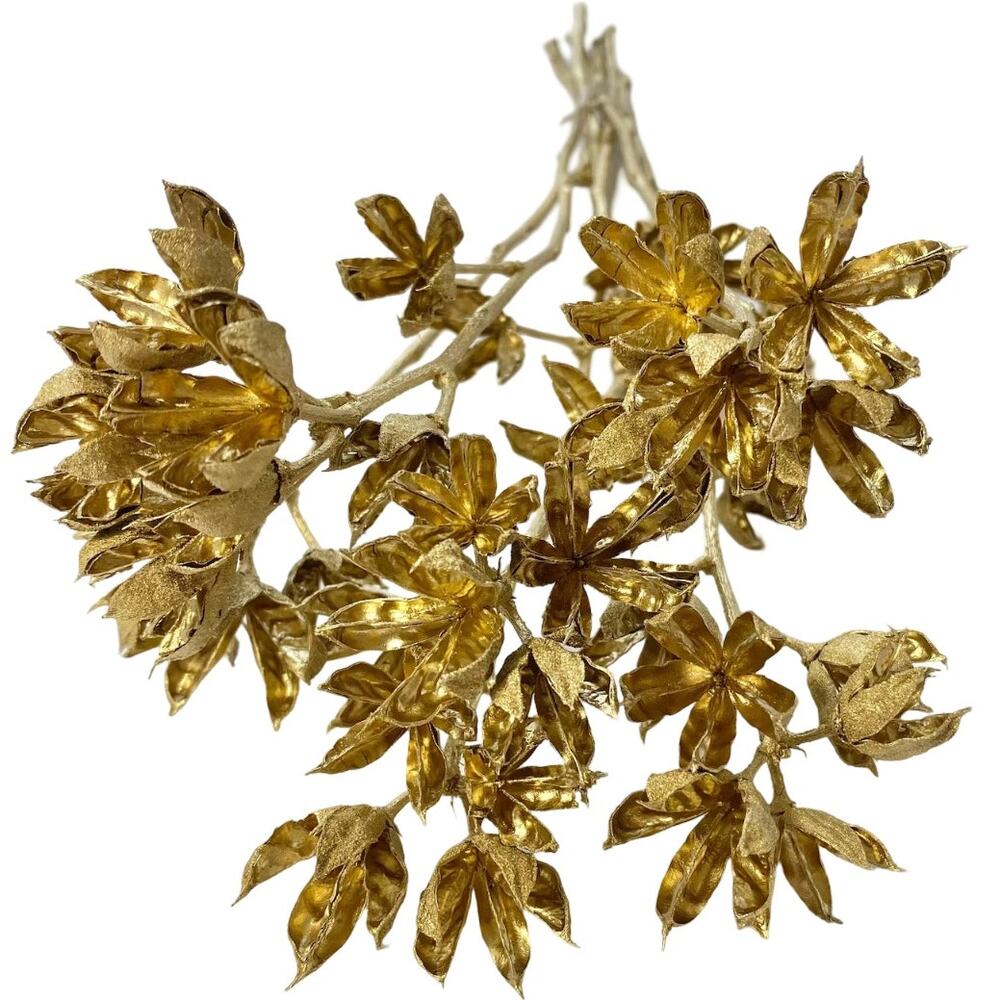 Gold bouquet | Preserved Hibiscus seed pods | homegrown & handmade dried Flowers
